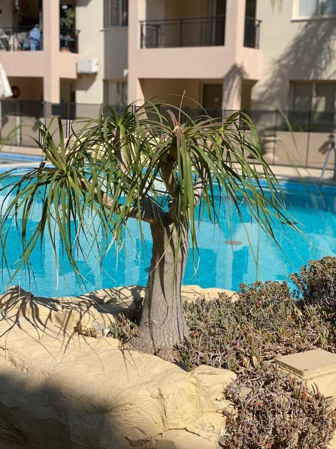 Royal Seacrest F G5 Ground Floor Apartment Πάφος Εξωτερικό φωτογραφία