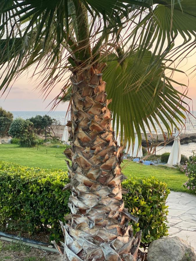 Royal Seacrest F G5 Ground Floor Apartment Πάφος Εξωτερικό φωτογραφία