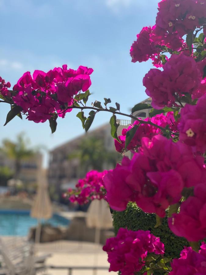 Royal Seacrest F G5 Ground Floor Apartment Πάφος Εξωτερικό φωτογραφία